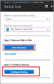 هدف النسخ الاحتياطي - SQL Server في Azure VM