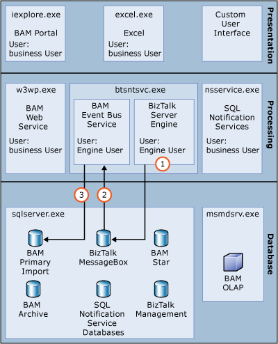 Image that shows how data is captured from the BizTalk Service.