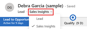 لقطة شاشة لتحديد النموذج Sales Insights.