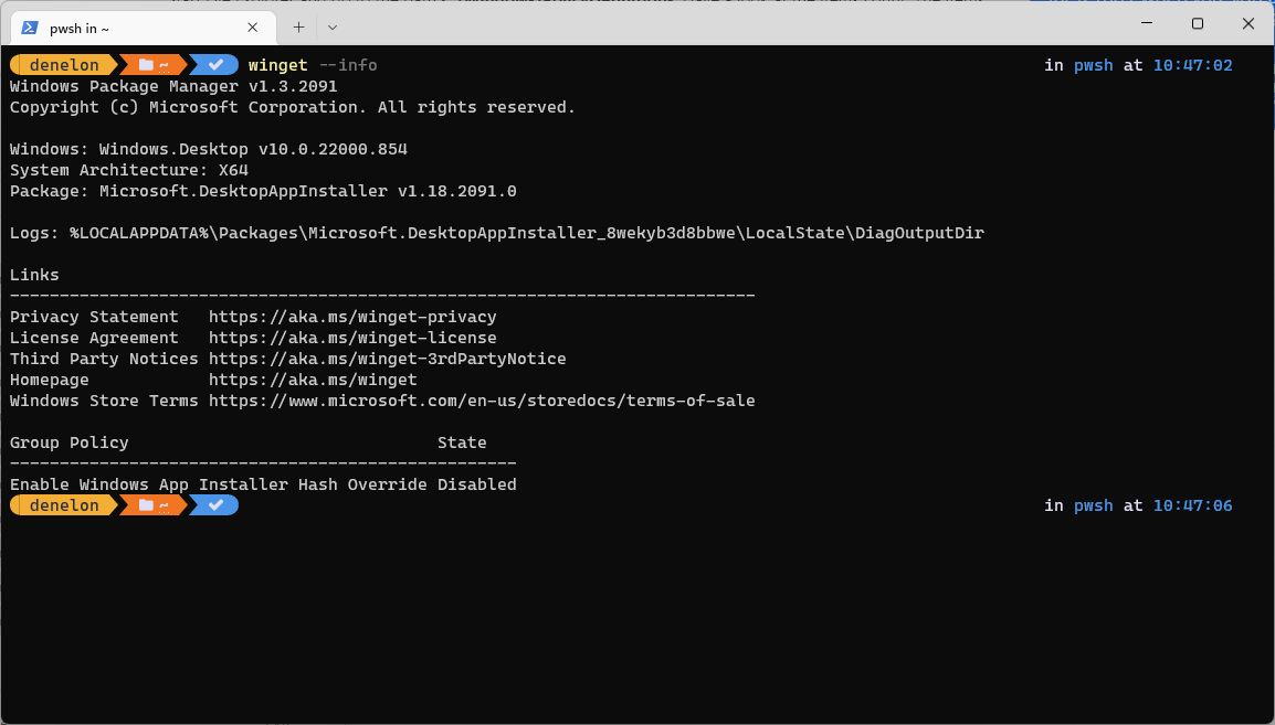 Screenshot of winget info command results