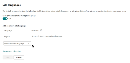 Image of multilingual settings in the advanced settings panel.