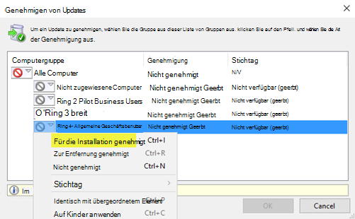 Wählen Sie in der WSUS-Verwaltungskonsole genehmigen für die Installation aus.