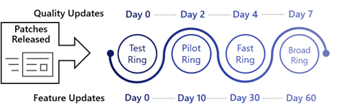 Ring 3, Broad Ring.