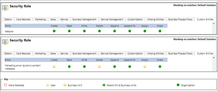 Privileges required for the Website and Marketing email dynamic-content metadata entities.