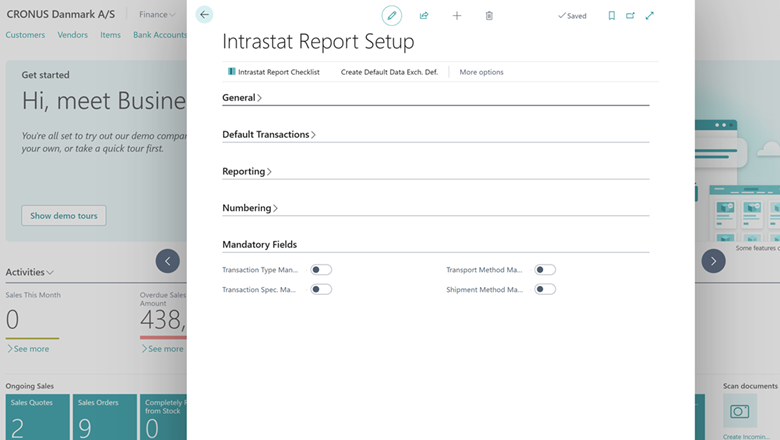 Mandatory fields in the Intrastat Report Setup