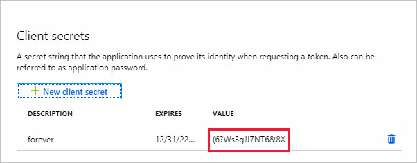 A screen shot of the new client secret