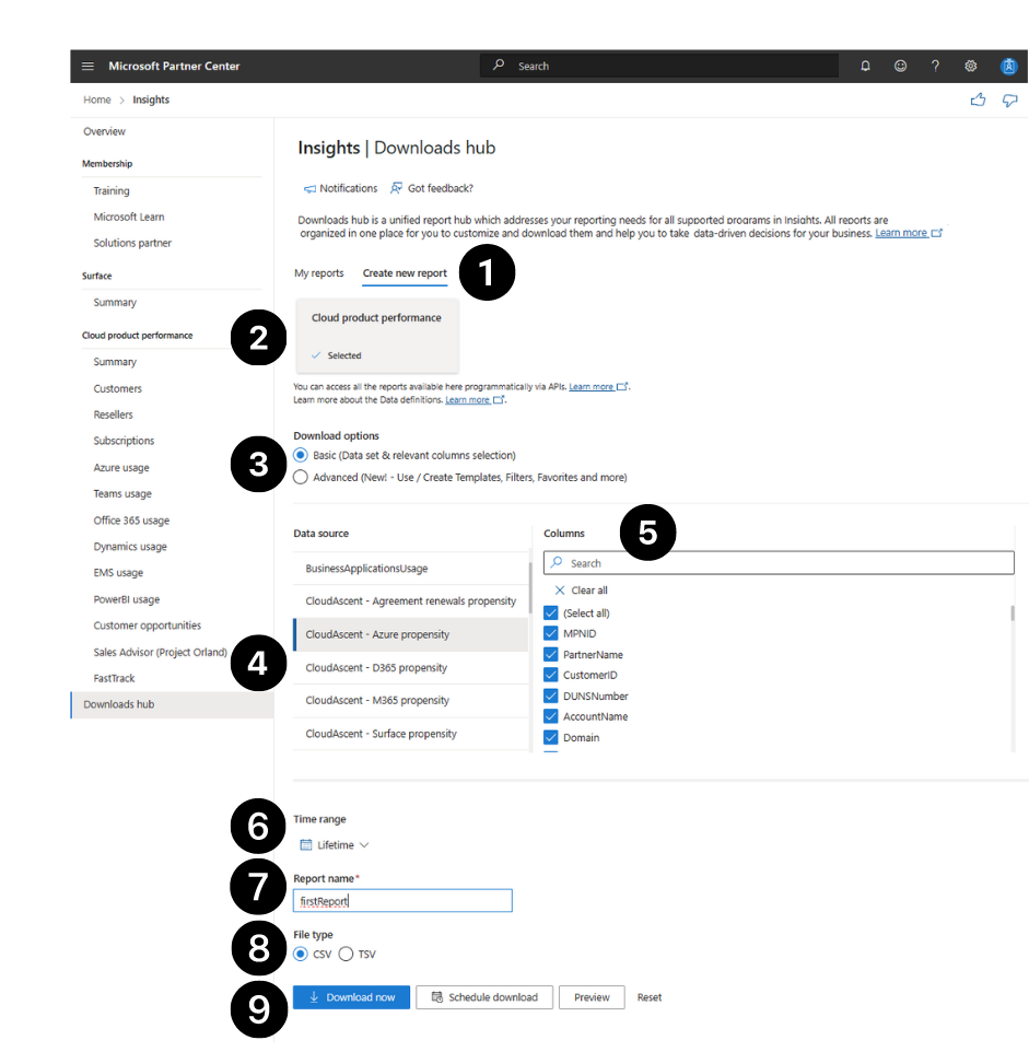 Screenshot of the Downloads hub section: Create new report.