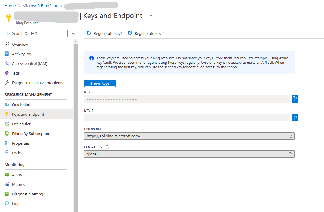 Bing Search Services API key and endpoint.