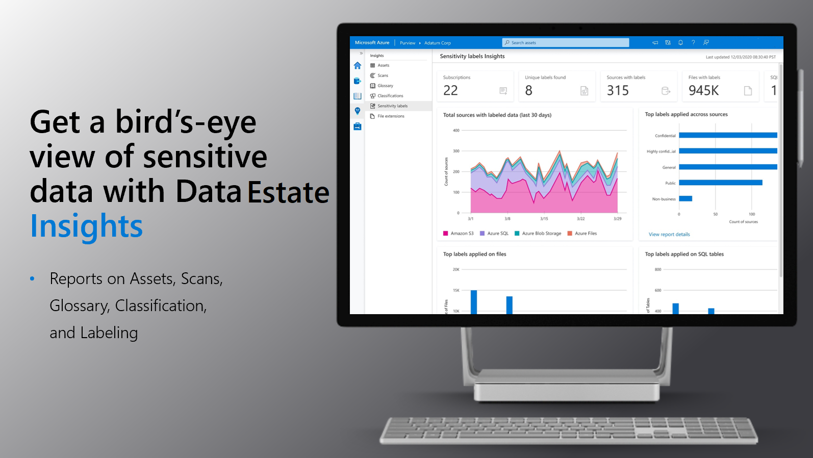 Depiction of a computer monitor that shows Data Estate Insights graphs and data.