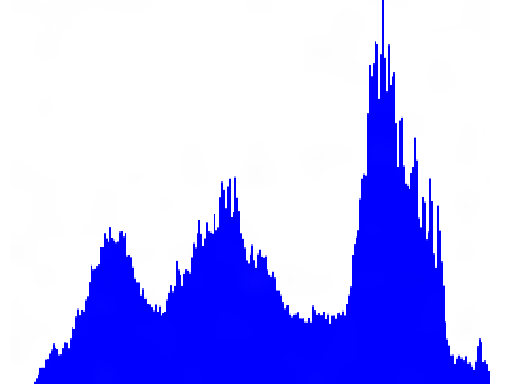 the image after the transform.