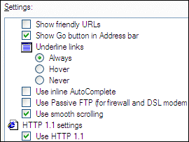 screen shot of internet explorer options for setting the value of check boxes and radio buttons