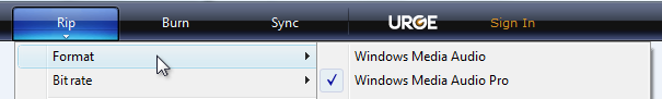 screen shot of rip menu with format menu item 