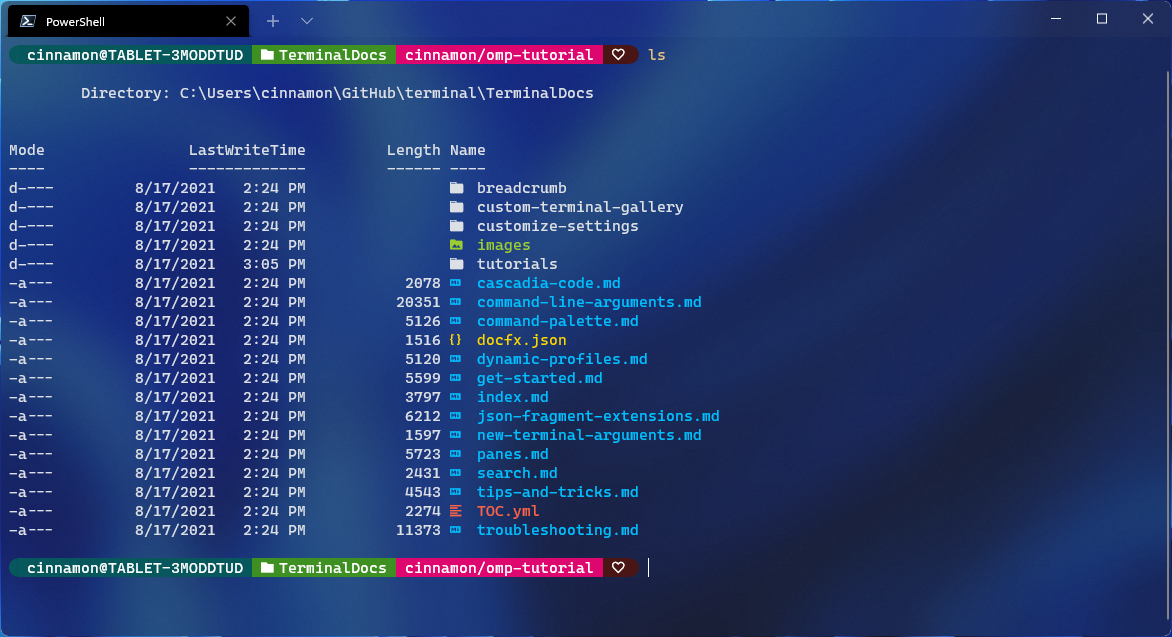 Símbolo del sistema personalizado de Terminal Windows