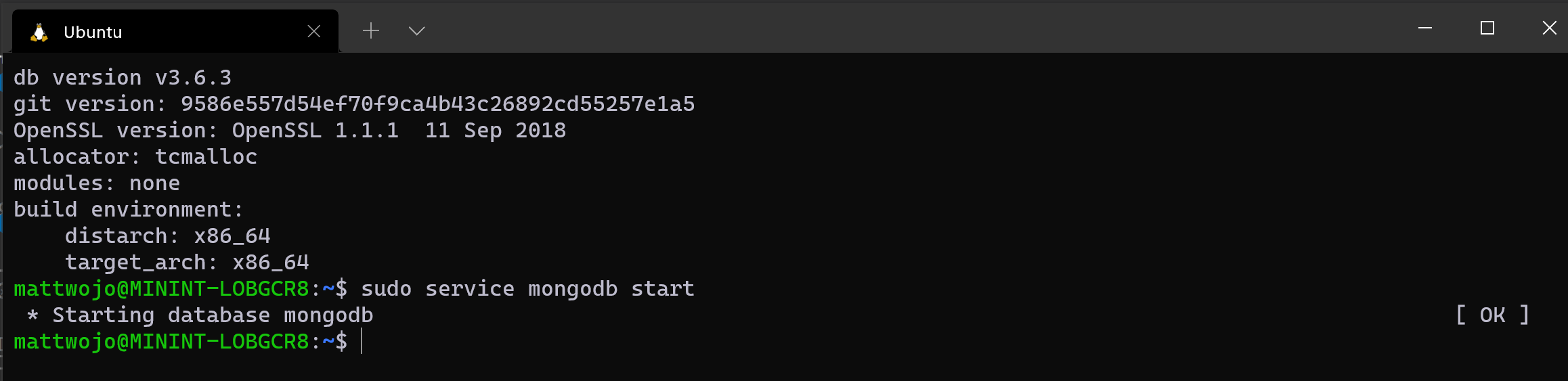 Ejecutando MongoDB en Ubuntu a través de WSL