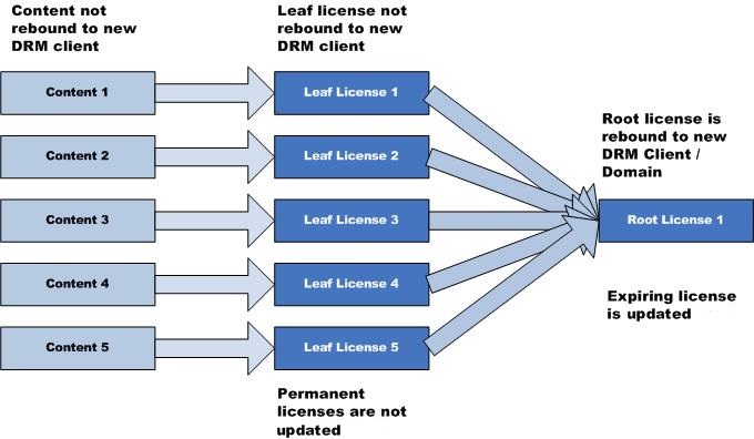 License Chaining