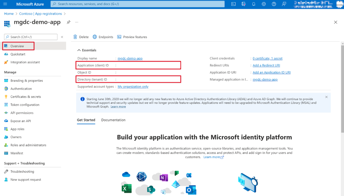 Capture d’écran montrant les ID d’application et de locataire.