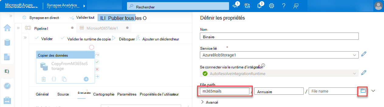 Capture d’écran du volet Définir les propriétés avec le chemin d’accès au fichier mis en évidence.