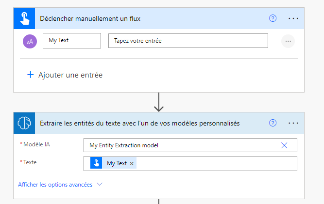 Capture d’écran montrant le contenu du modèle sélectionné.