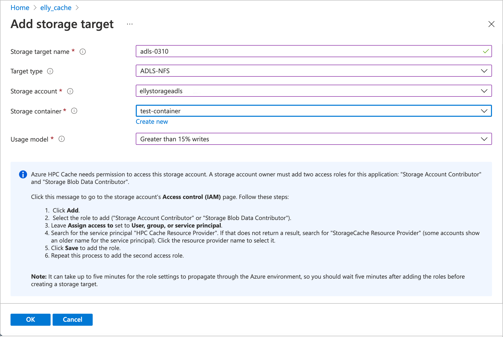 Capture d’écran de la page Ajouter la cible de stockage avec le type de cible défini sur ADLS-NFS