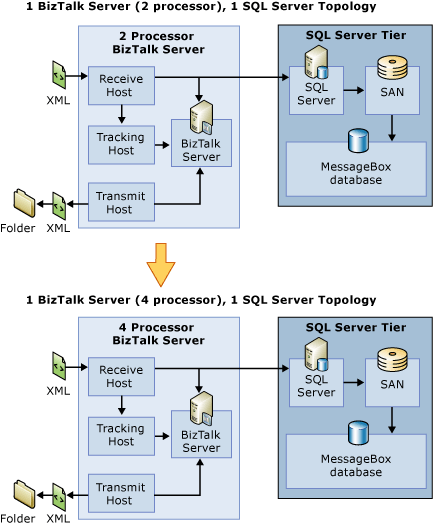 Scale-up BTS