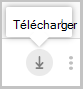 Capture d’écran du bouton de téléchargement.