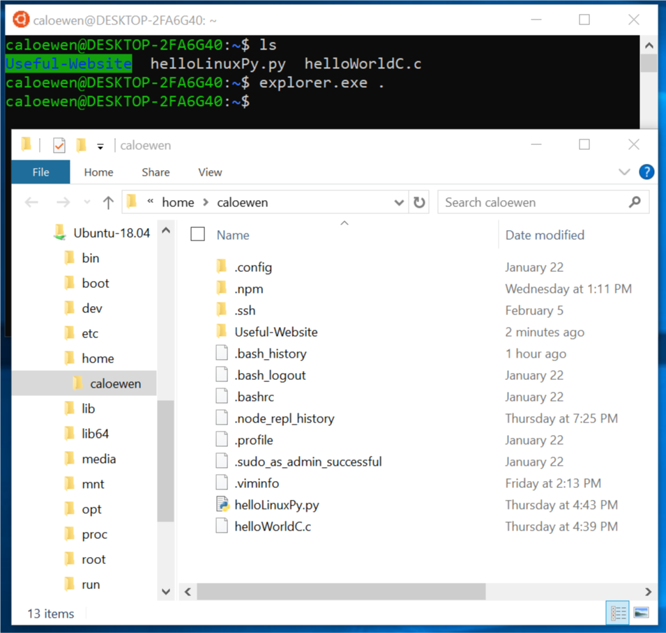 Fichiers Linux à l’intérieur de Explorateur de fichiers.