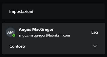 Screenshot che mostra l'account Fabrikam passato al tenant contoso.