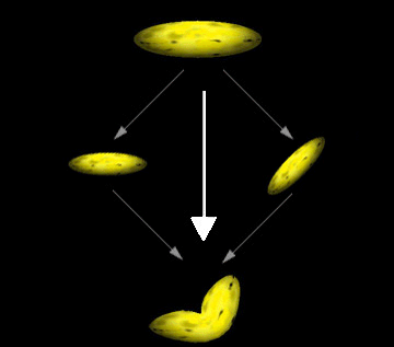 illustrazione del processo per combinare due oggetti con texture banana