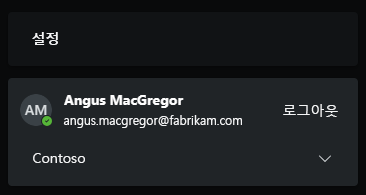 Contoso 테넌트로 전환된 Fabrikam 계정을 보여 주는 스크린샷