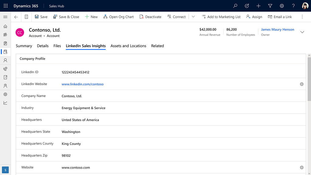 계정 양식의 LinkedIn Sales Insights 탭.