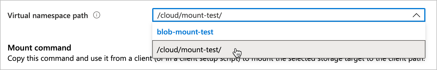 Screenshot that shows the "Virtual namespace path" field, with selector open.