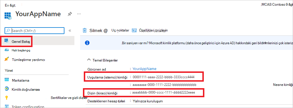 Oluşturulan uygulama kimliğinin ekran görüntüsü.