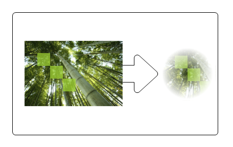 illustration of a picture of trees and the resulting picture after an opacity mask is applied