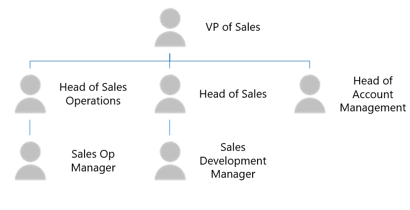 Salesforce 中的角色结构示意图。销售副总裁的角色在层次结构的顶层，有三个下属，即销售运营主管、销售主管和客户管理主管。销售运营主管将销售运营经理作为下属。销售主管将销售开发经理作为下属。