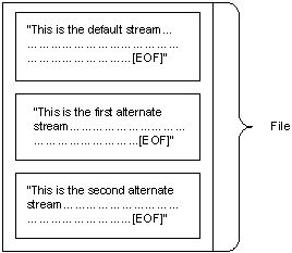 具有預設資料流程和兩個替代資料流程的檔案